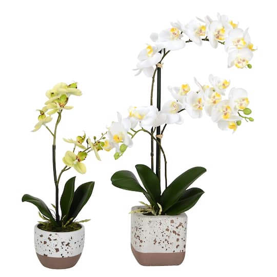 White Artificial Mini Moth Orchid in Planter Set